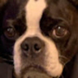 Meet your Posher, Terri